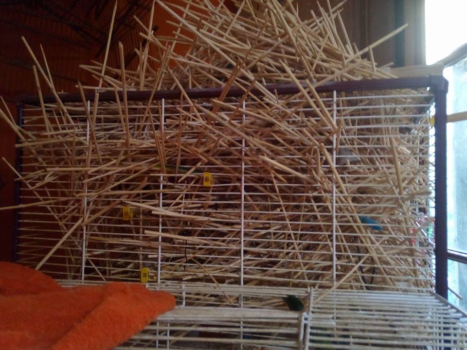 New house for my parrots - IKEA bird cage hack