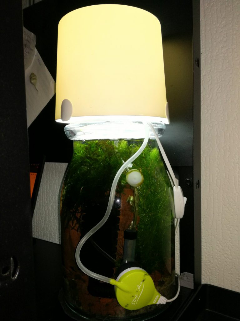 lampe aquarium