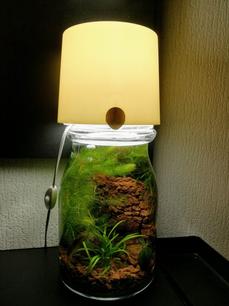 lampe aquarium