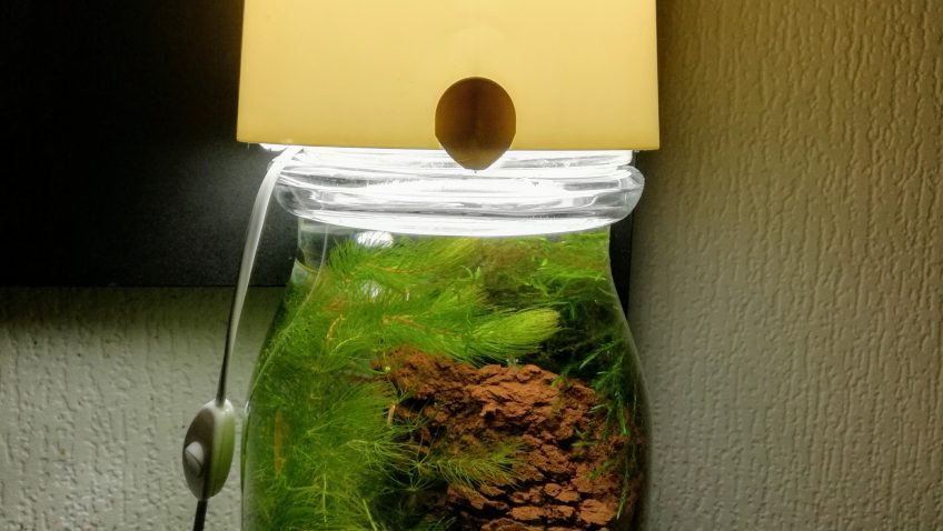 lampe aquarium