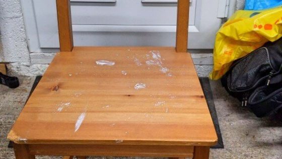 Les chaises de salle à manger IKEA se remettent des morsures de chien